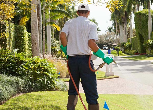 About Keokee VA Pest Control